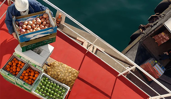  Everest Shipping Agency 